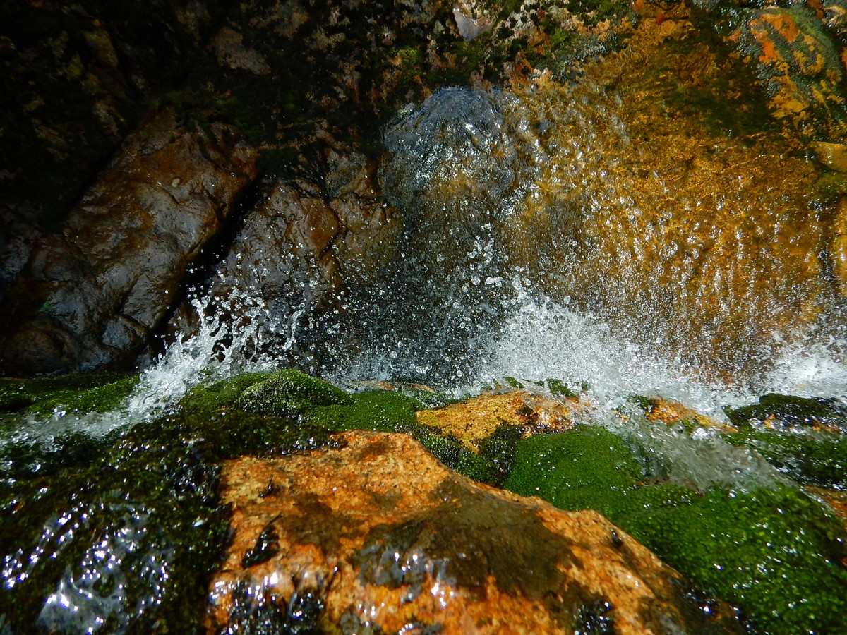 20220611 Kamenice (12)