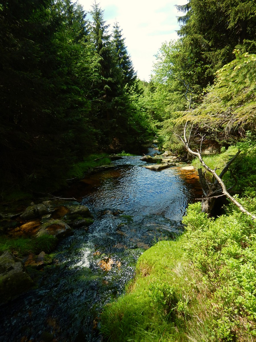 20220611 Kamenice (17)