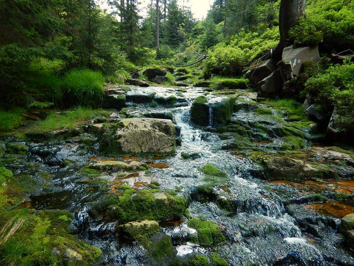 20220611 Kamenice (24)