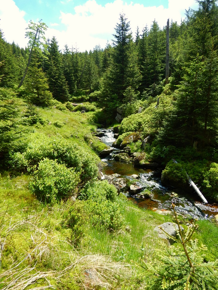 20220611 Kamenice (26)