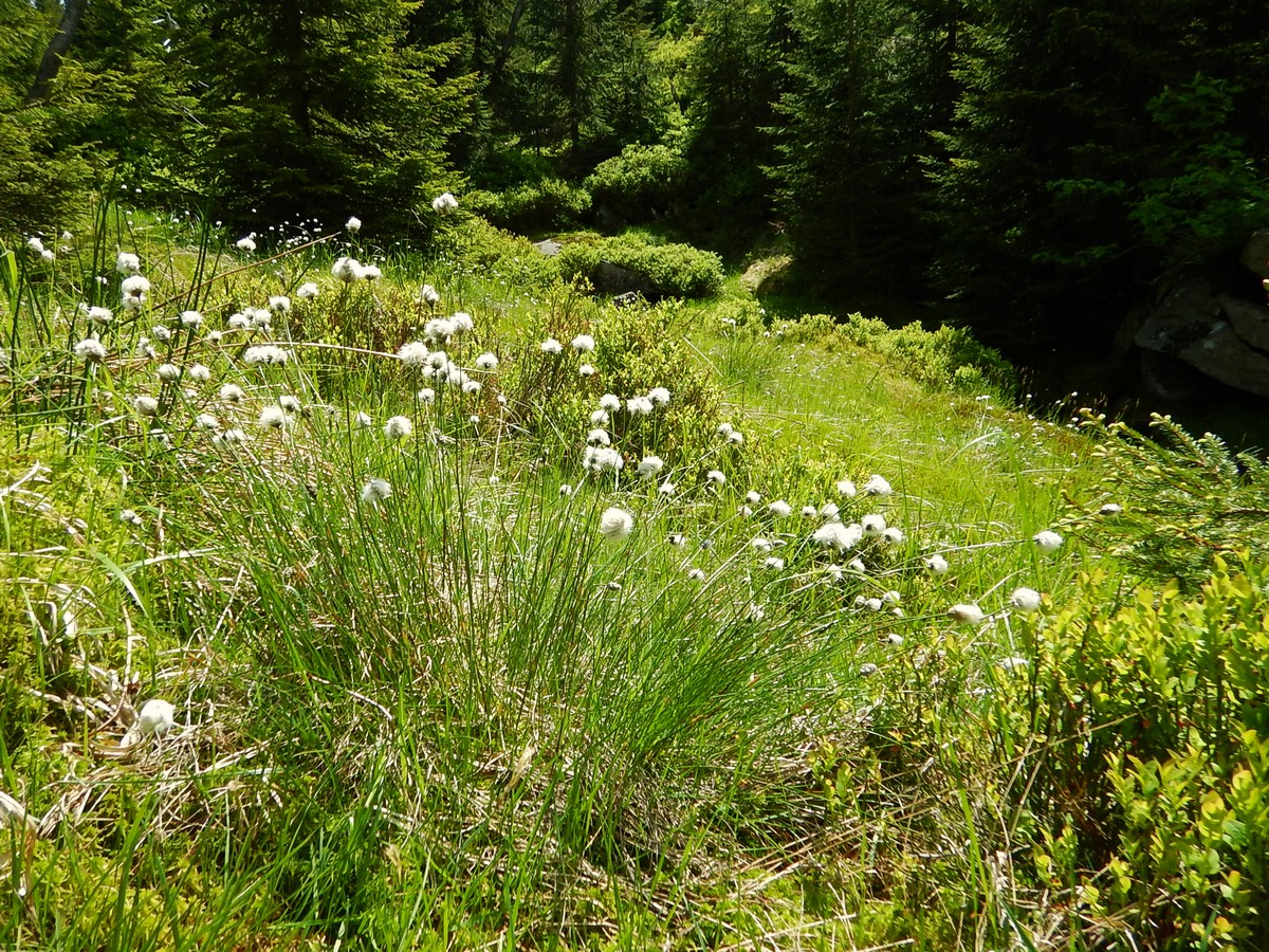 20220611 Kamenice (27)