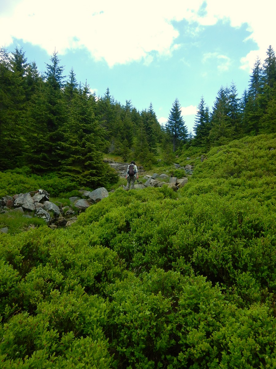 20220611 Kamenice (32)