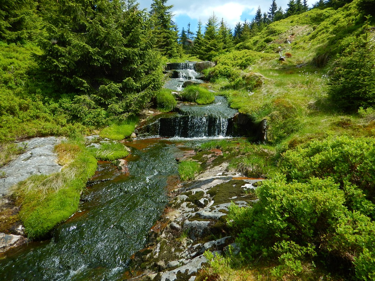 20220611 Kamenice (37)