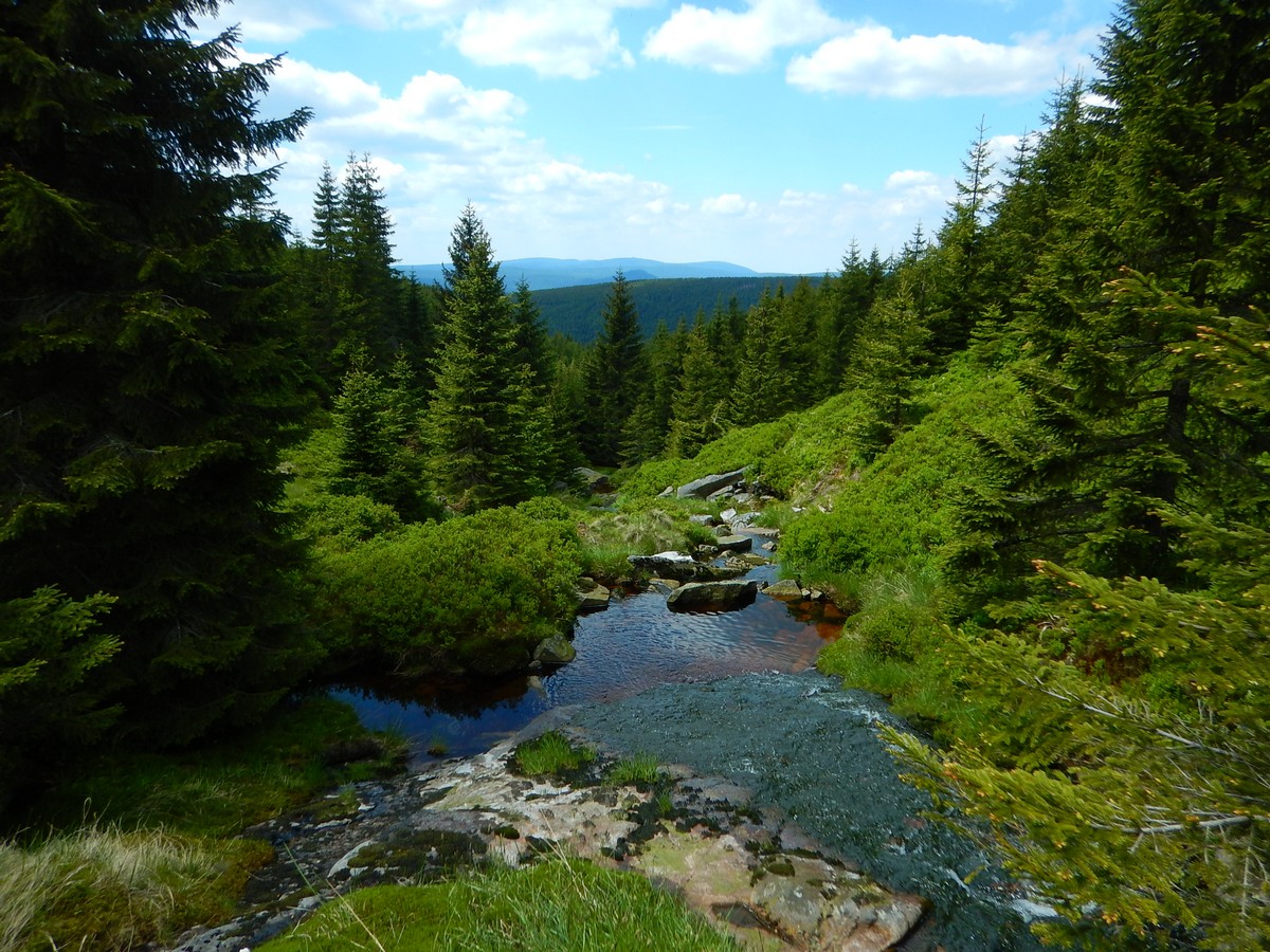 20220611 Kamenice (38)