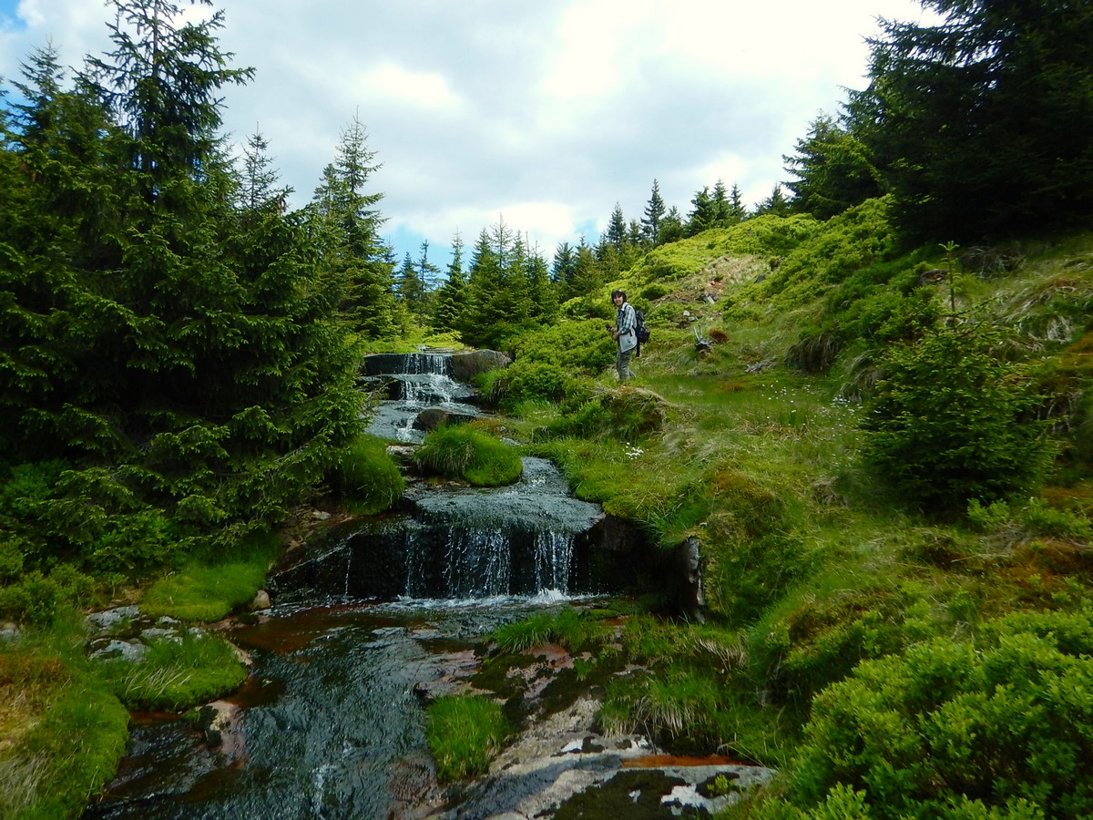 20220611 Kamenice (39)