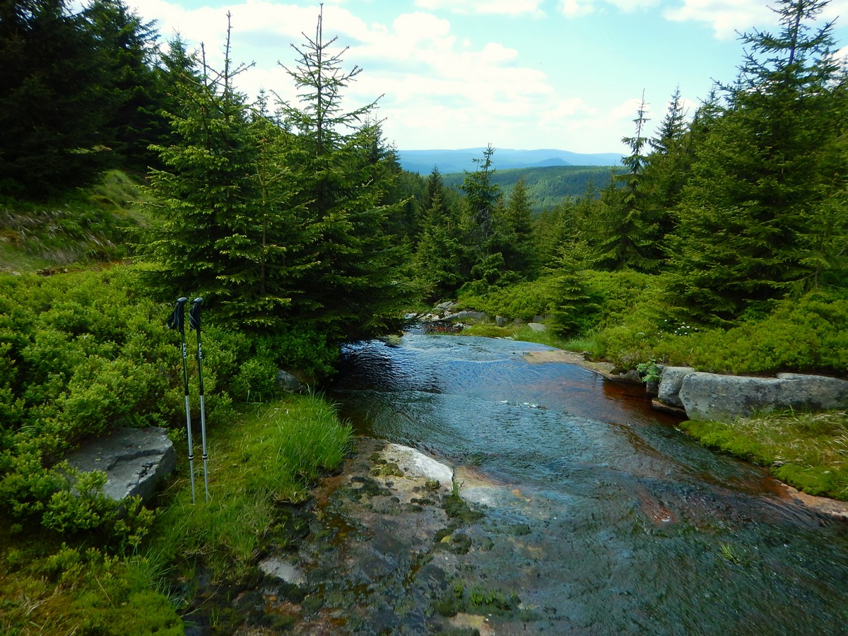 20220611 Kamenice (42)