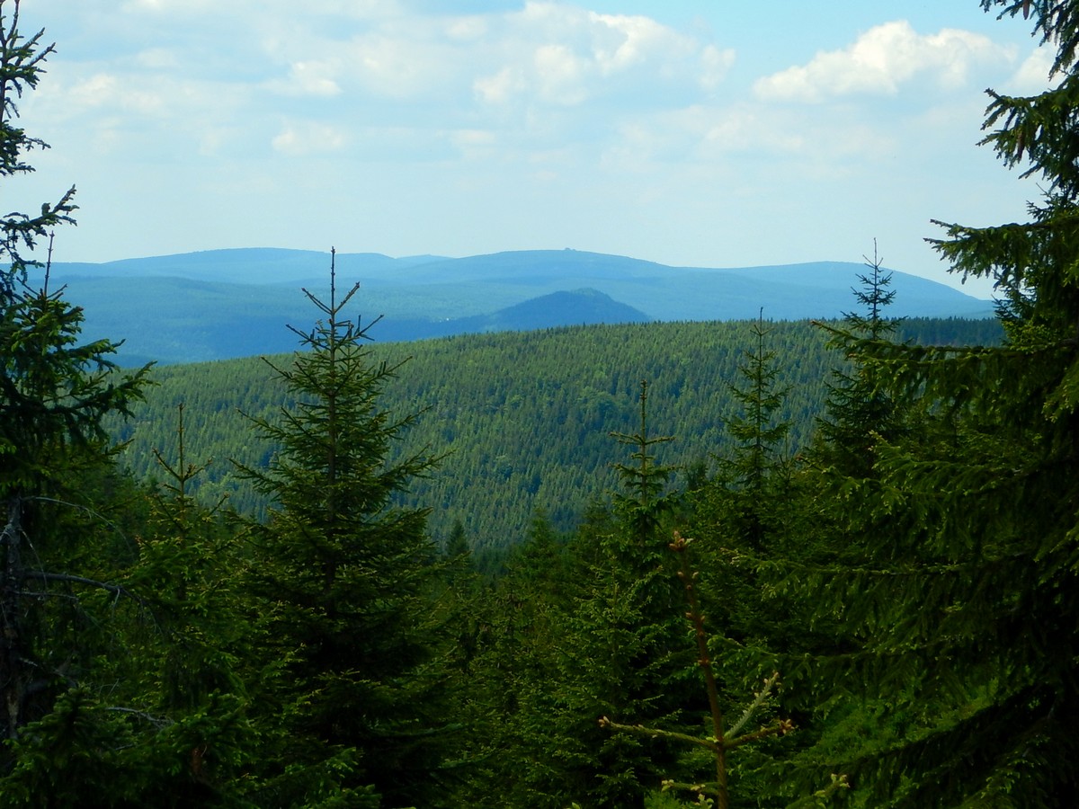 20220611 Kamenice (44)