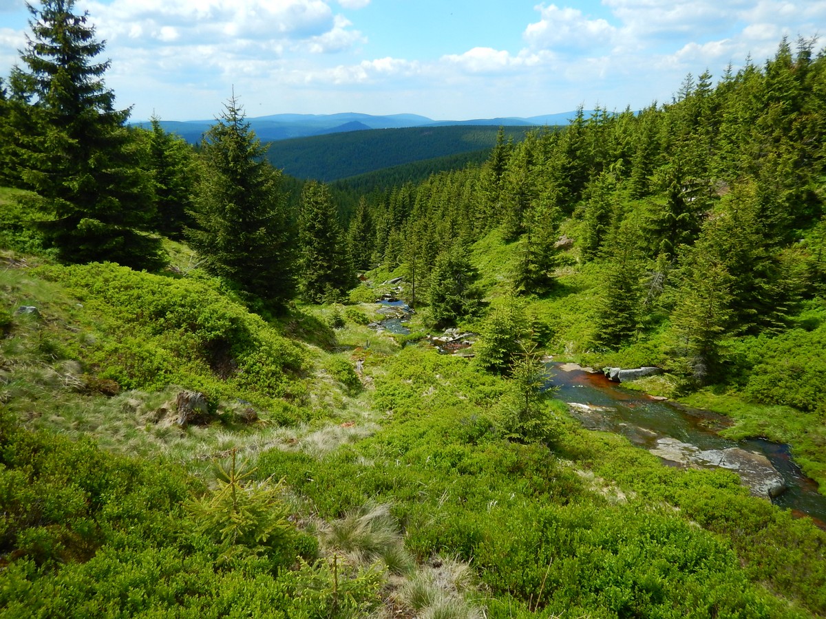 20220611 Kamenice (47)