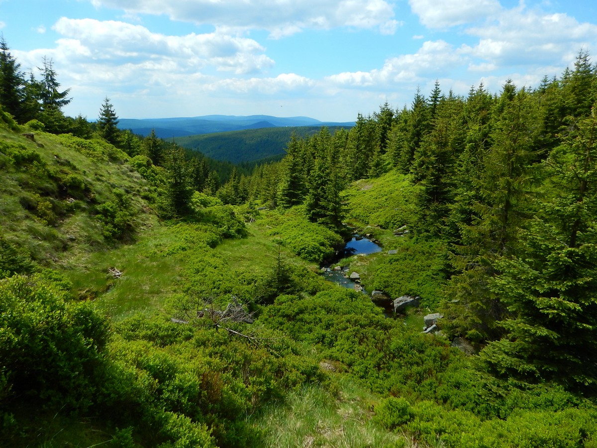 20220611 Kamenice (49)