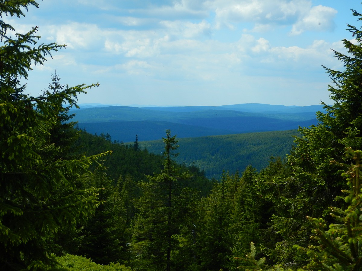 20220611 Kamenice (50)