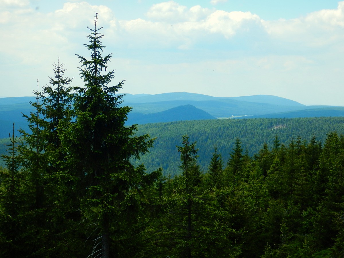 20220611 Kamenice (51)