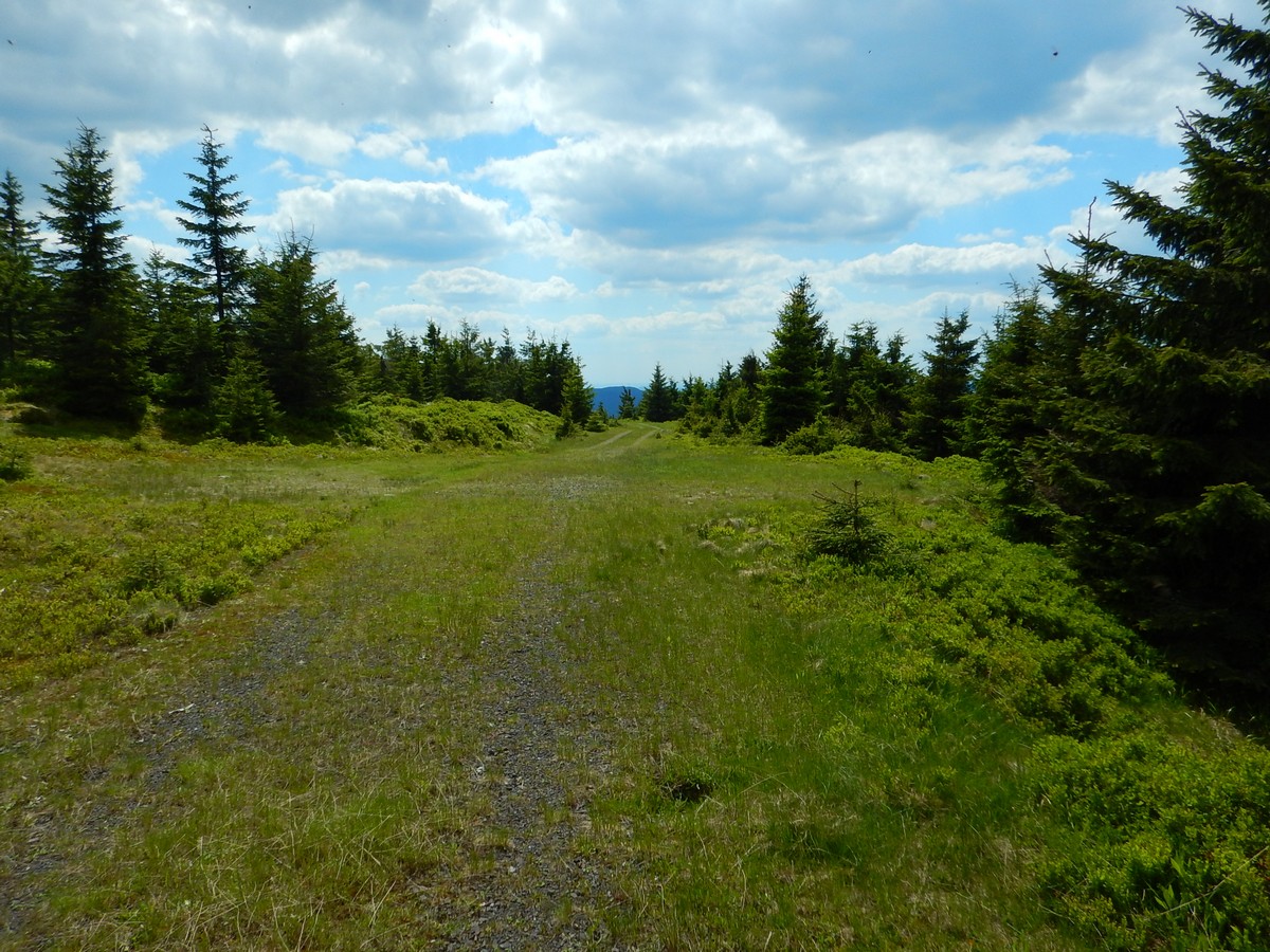 20220611 Kamenice (52)