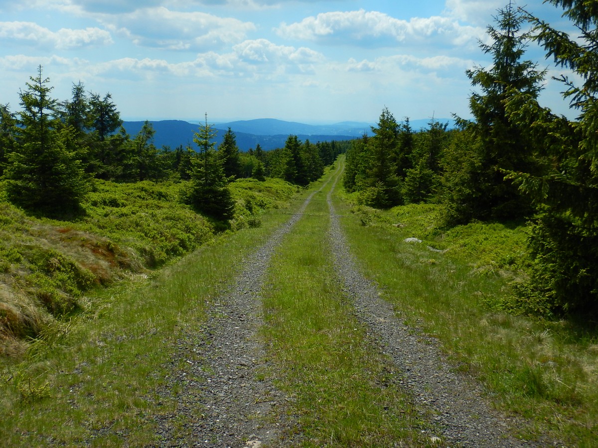 20220611 Kamenice (54)