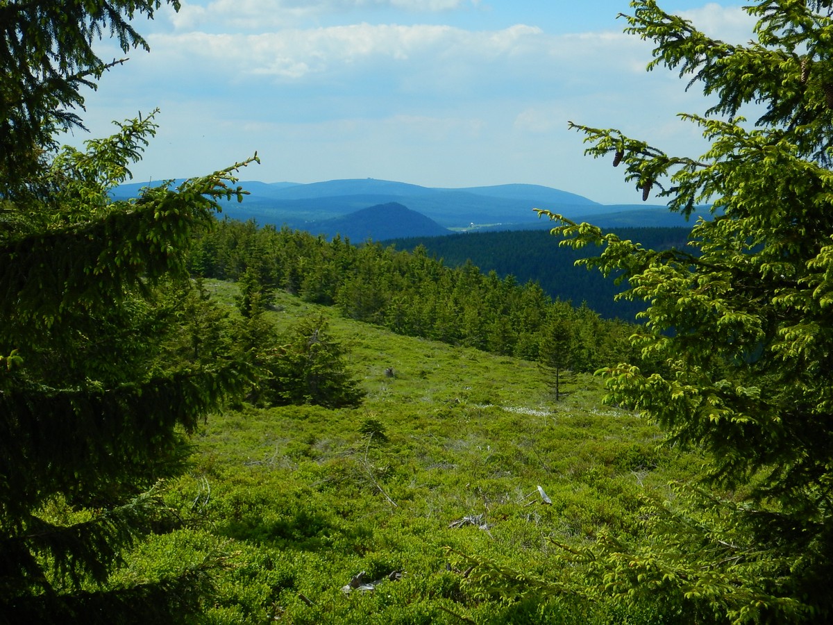 20220611 Kamenice (55)