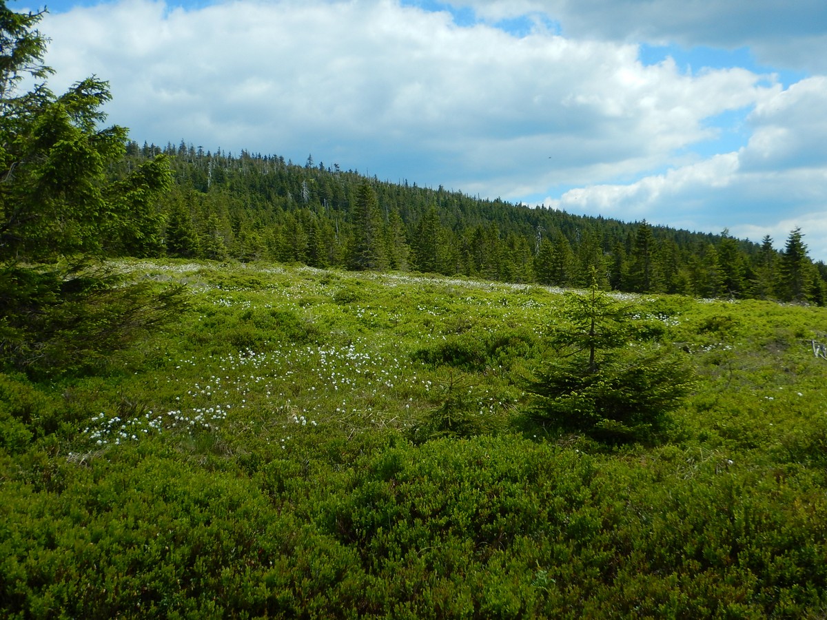 20220611 Kamenice (59)