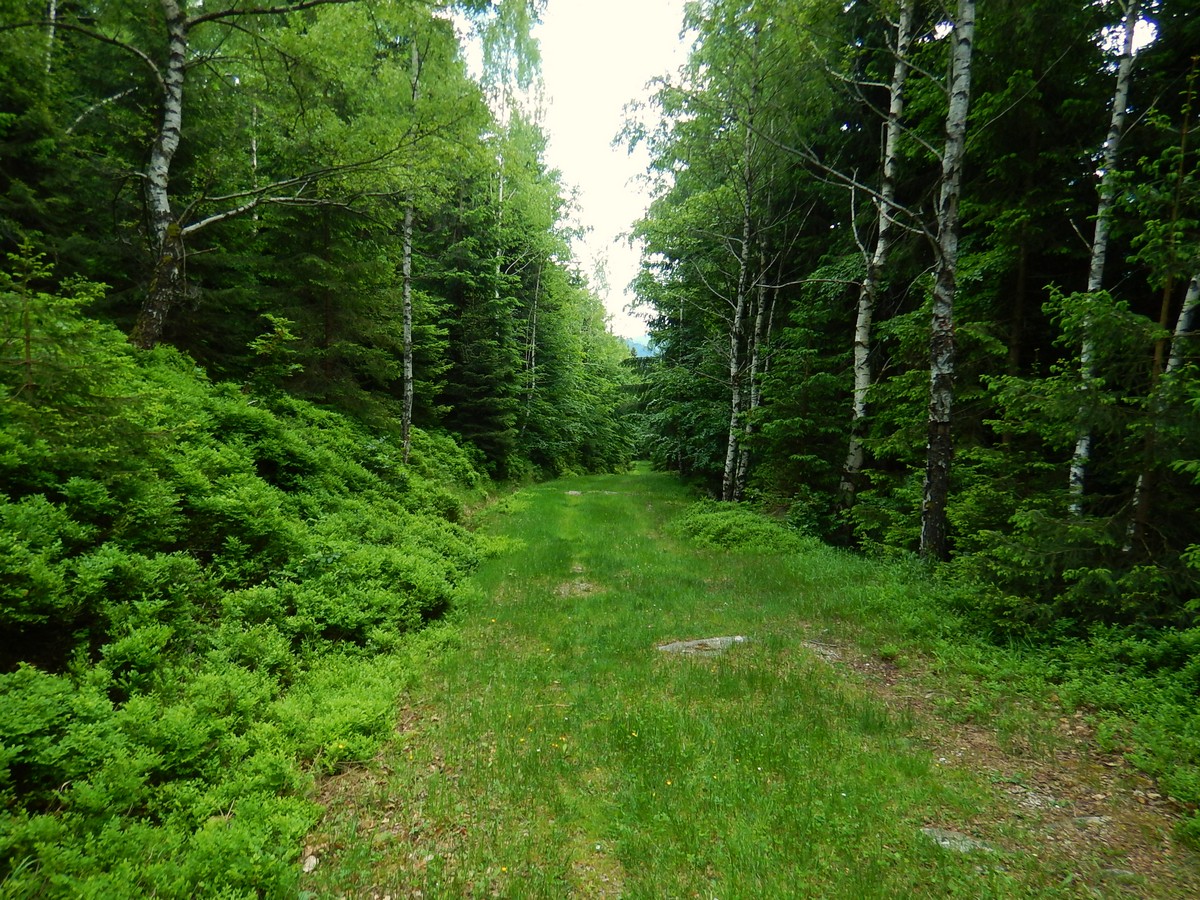 20220611 Kamenice (68)