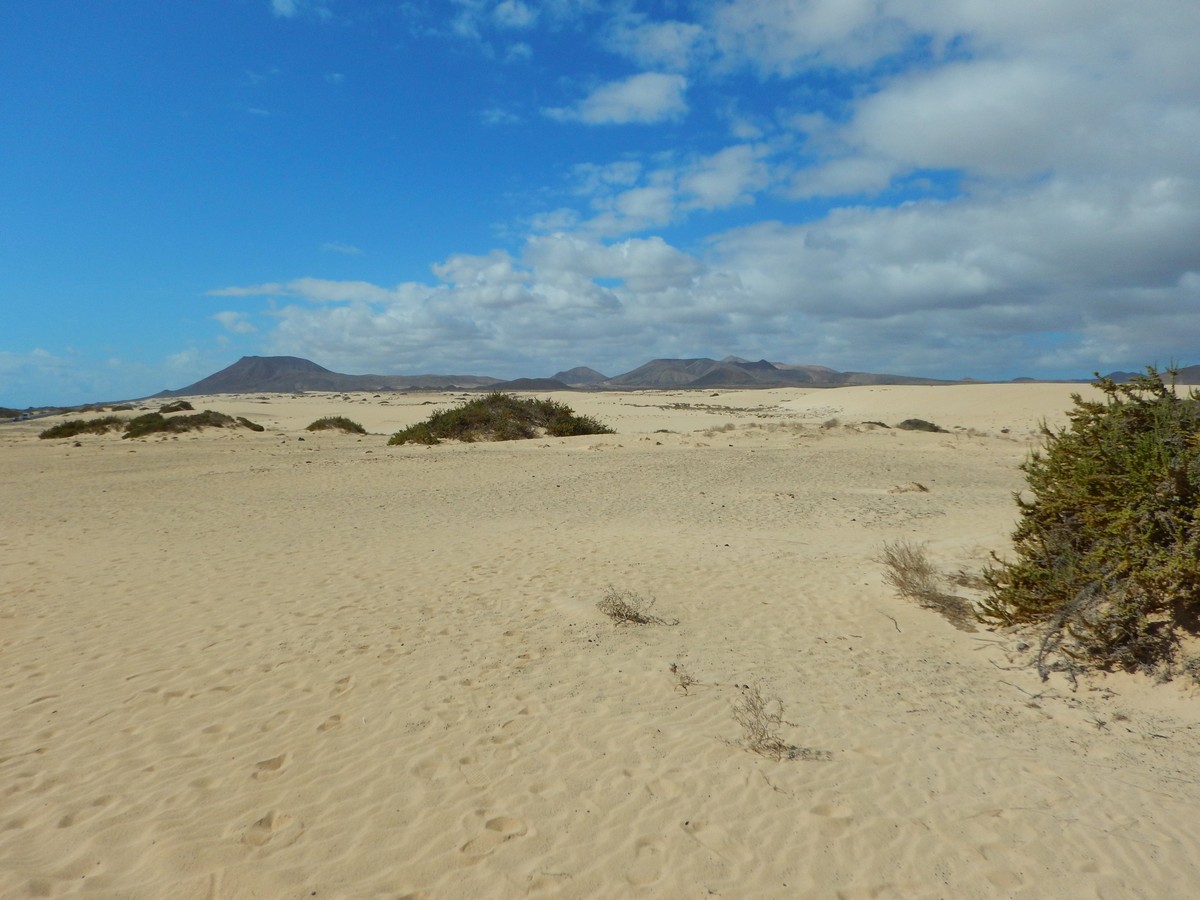 20230919 Corralejo (114)