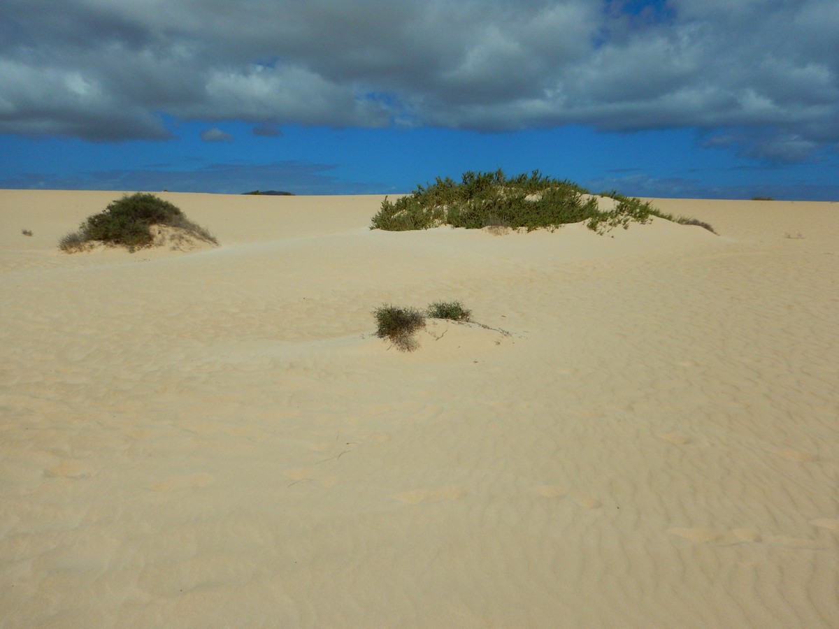 20230919 Corralejo (121)