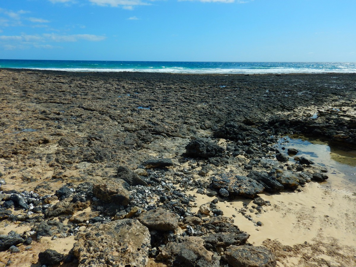 20230919 Corralejo (124)