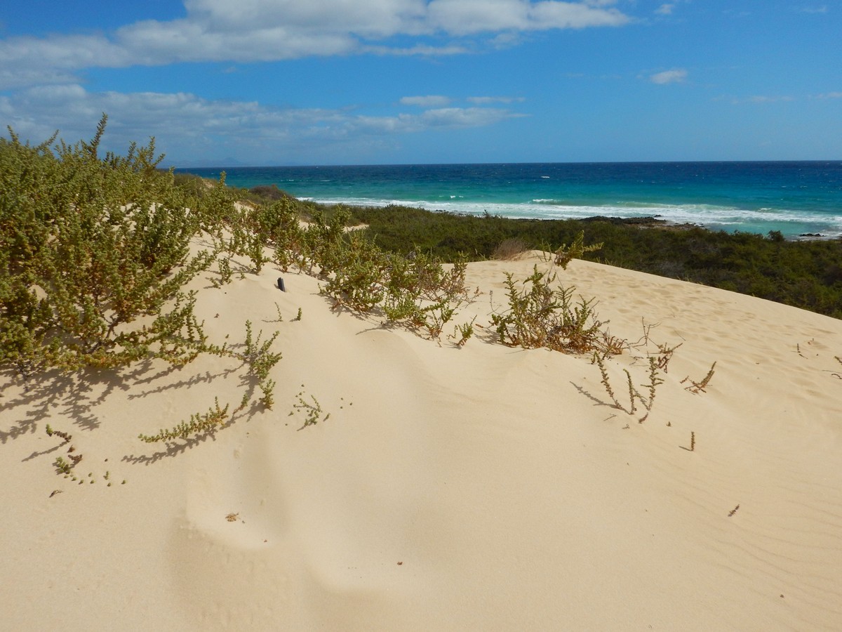 20230919 Corralejo (141)