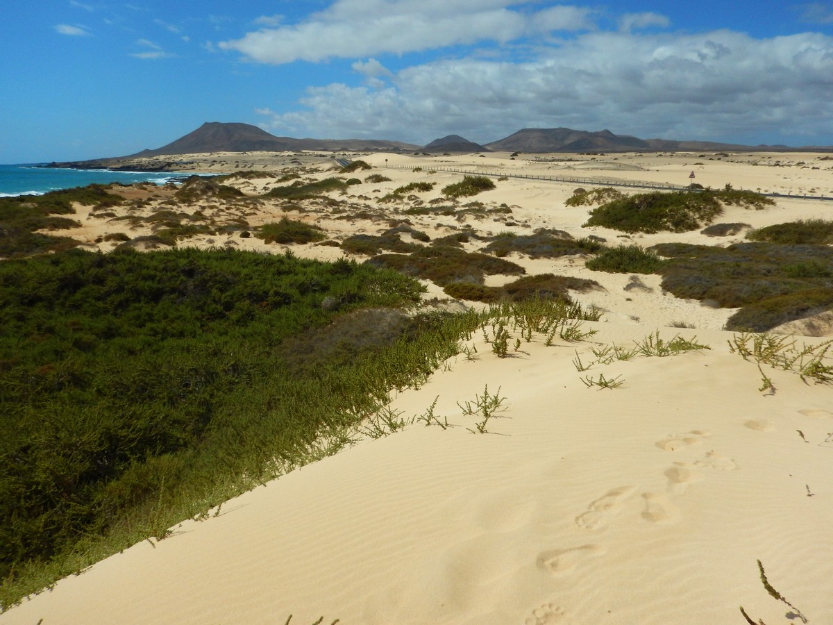 20230919 Corralejo (144)