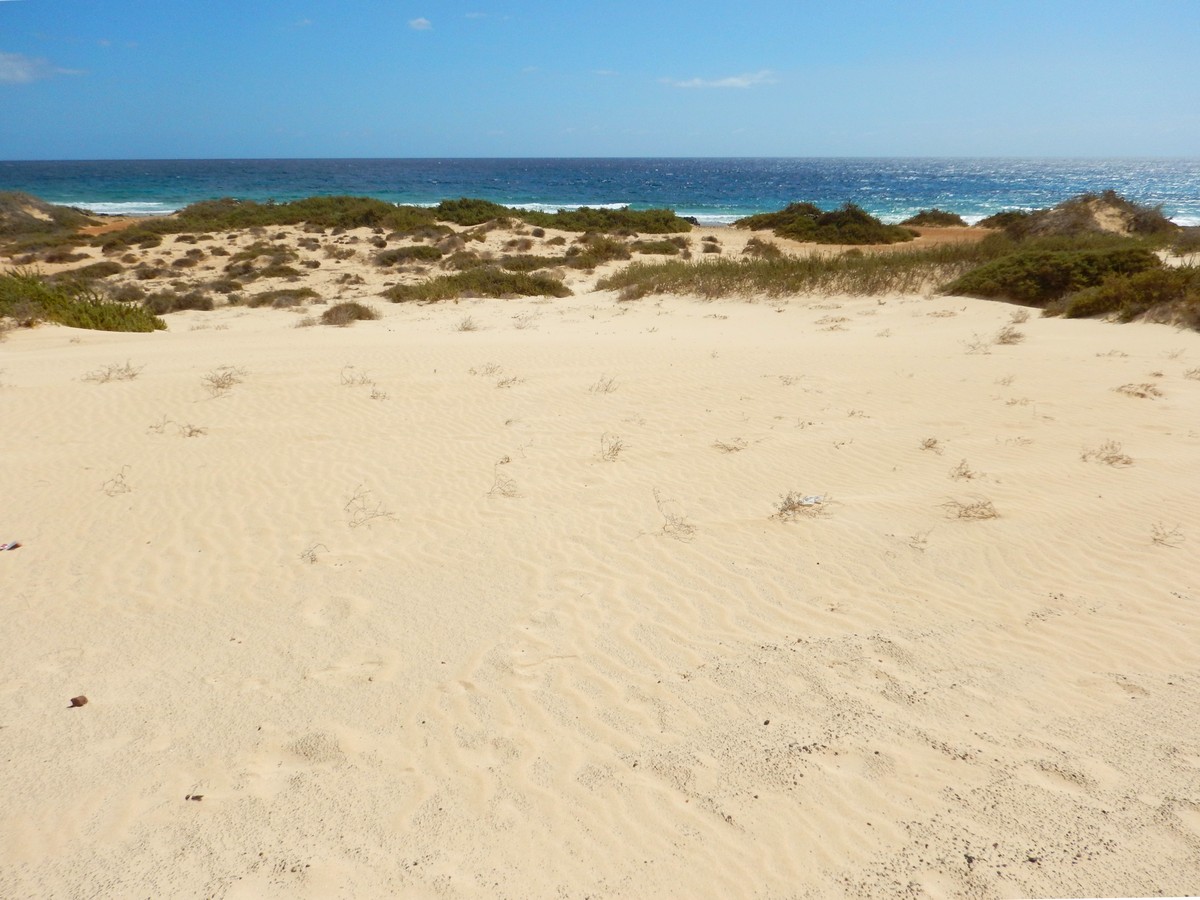 20230919 Corralejo (147)