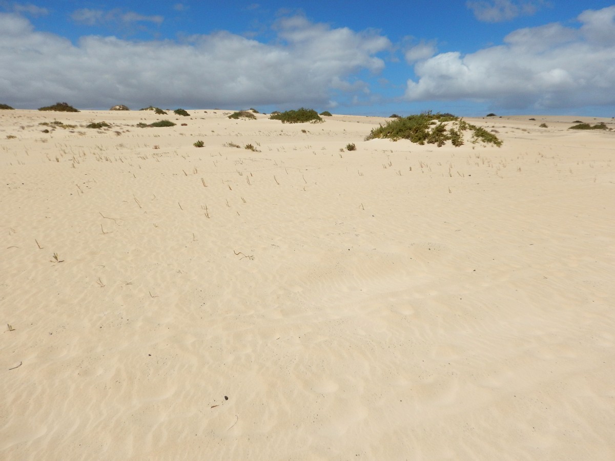 20230919 Corralejo (161)