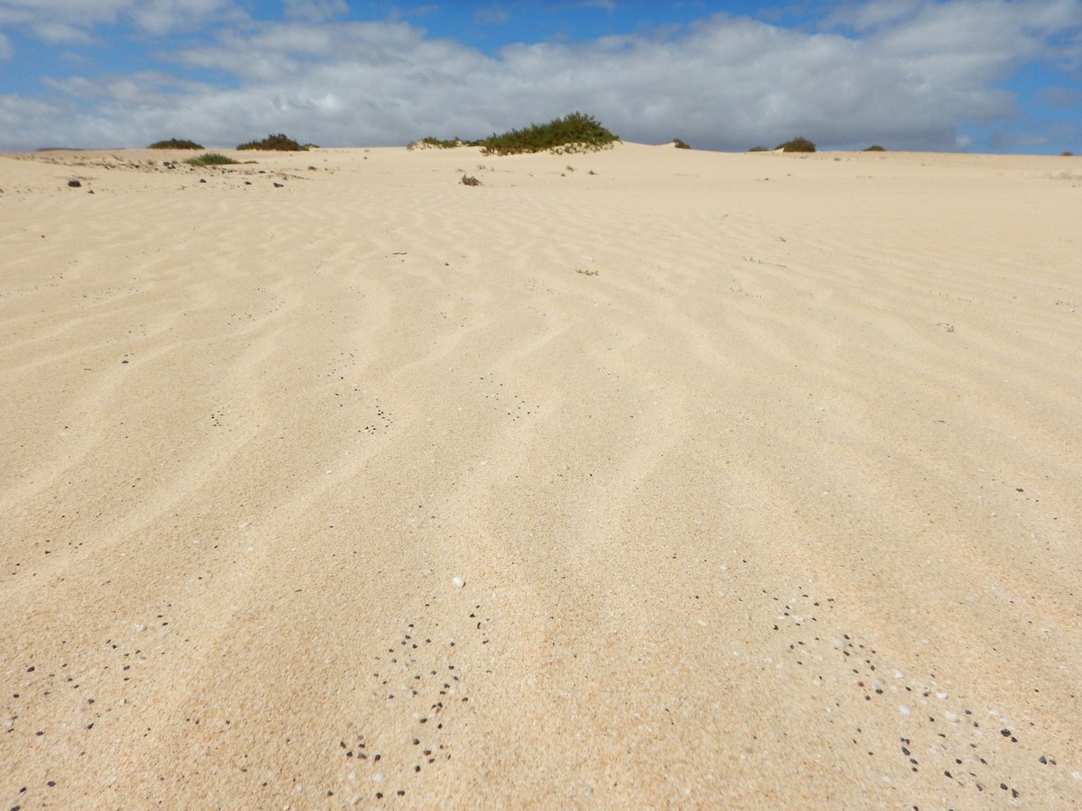 20230919 Corralejo (163)