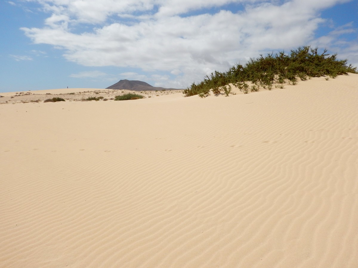 20230919 Corralejo (164)