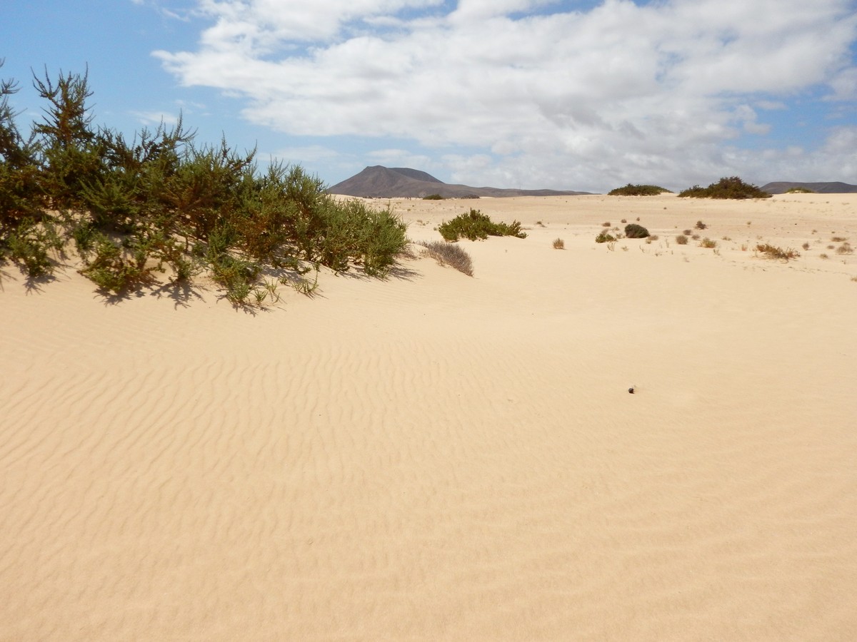 20230919 Corralejo (165)