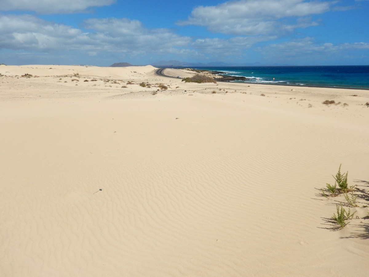 20230919 Corralejo (166)