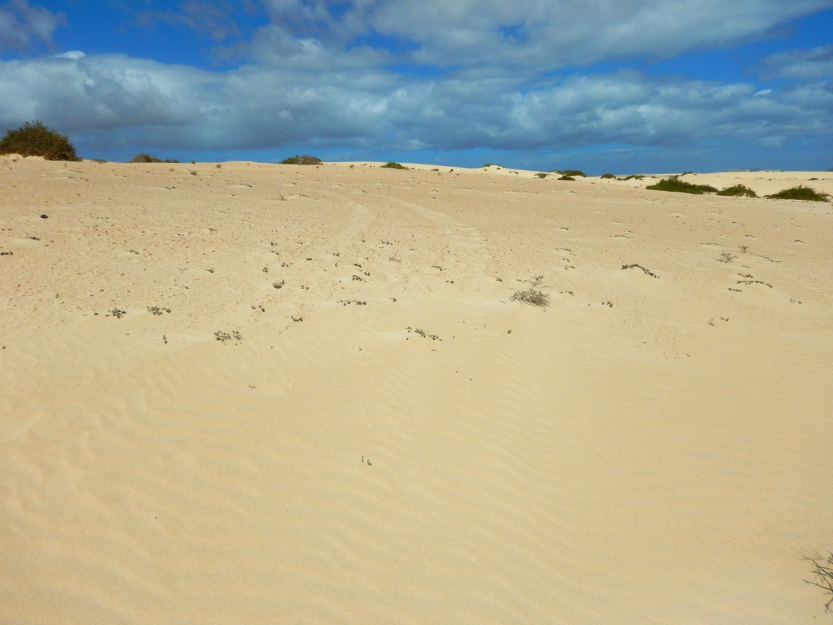 20230919 Corralejo (168)