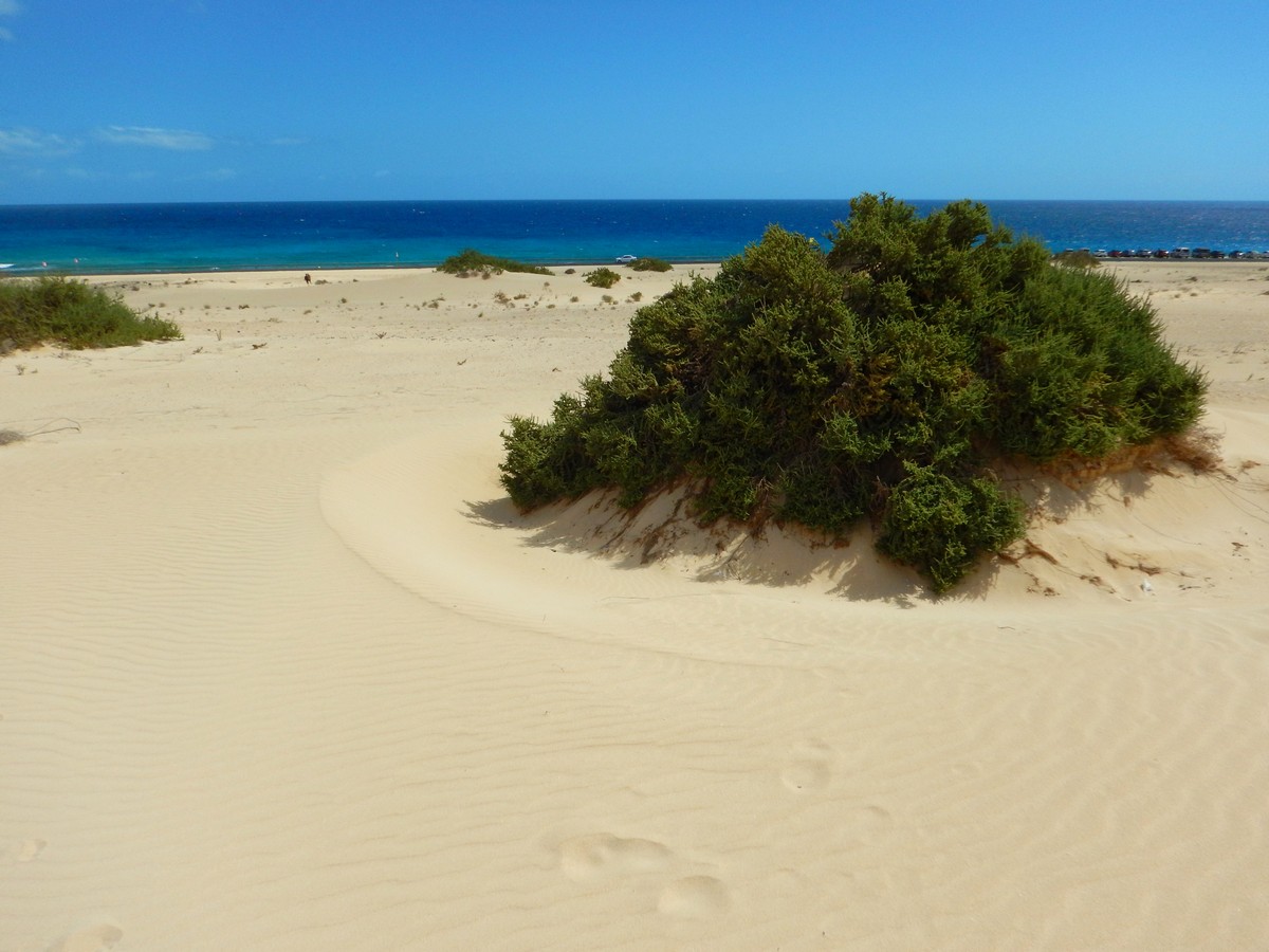 20230919 Corralejo (170)