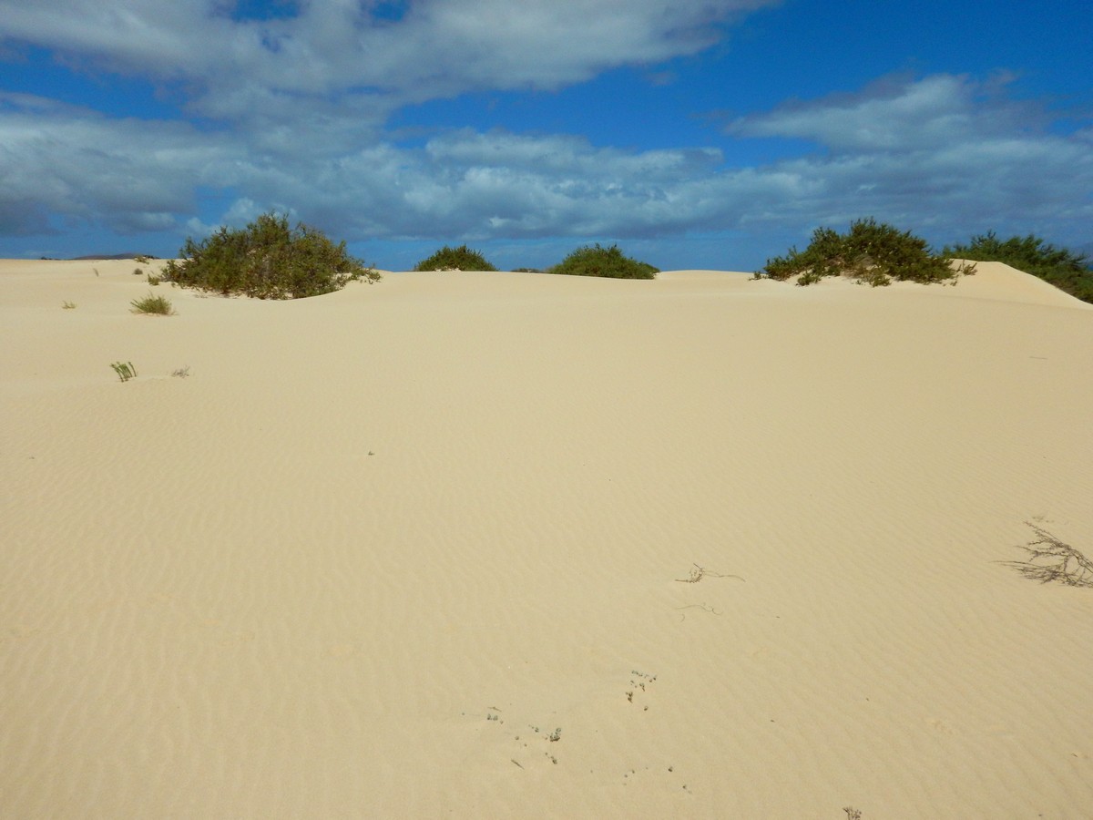 20230919 Corralejo (173)