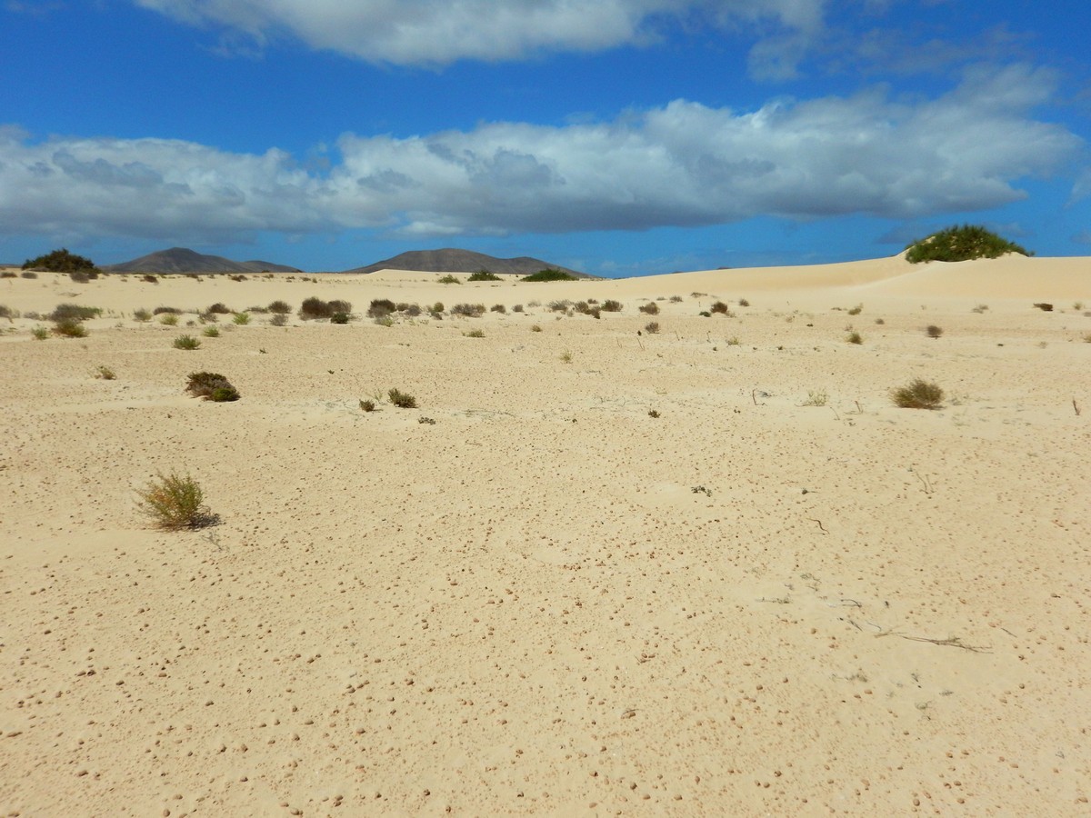 20230919 Corralejo (180)