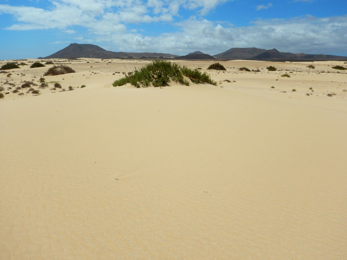 20230919 Corralejo (184)