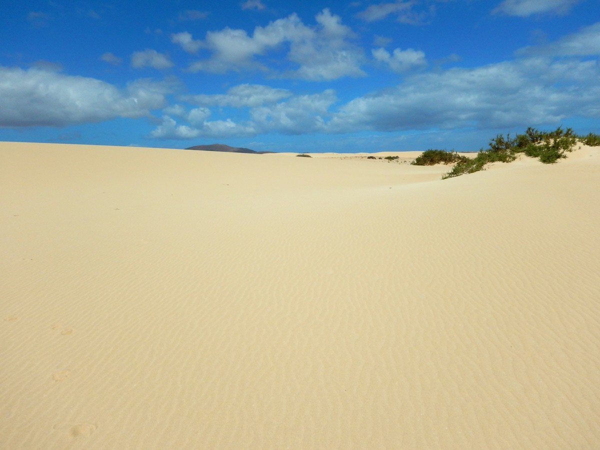 20230919 Corralejo (186)