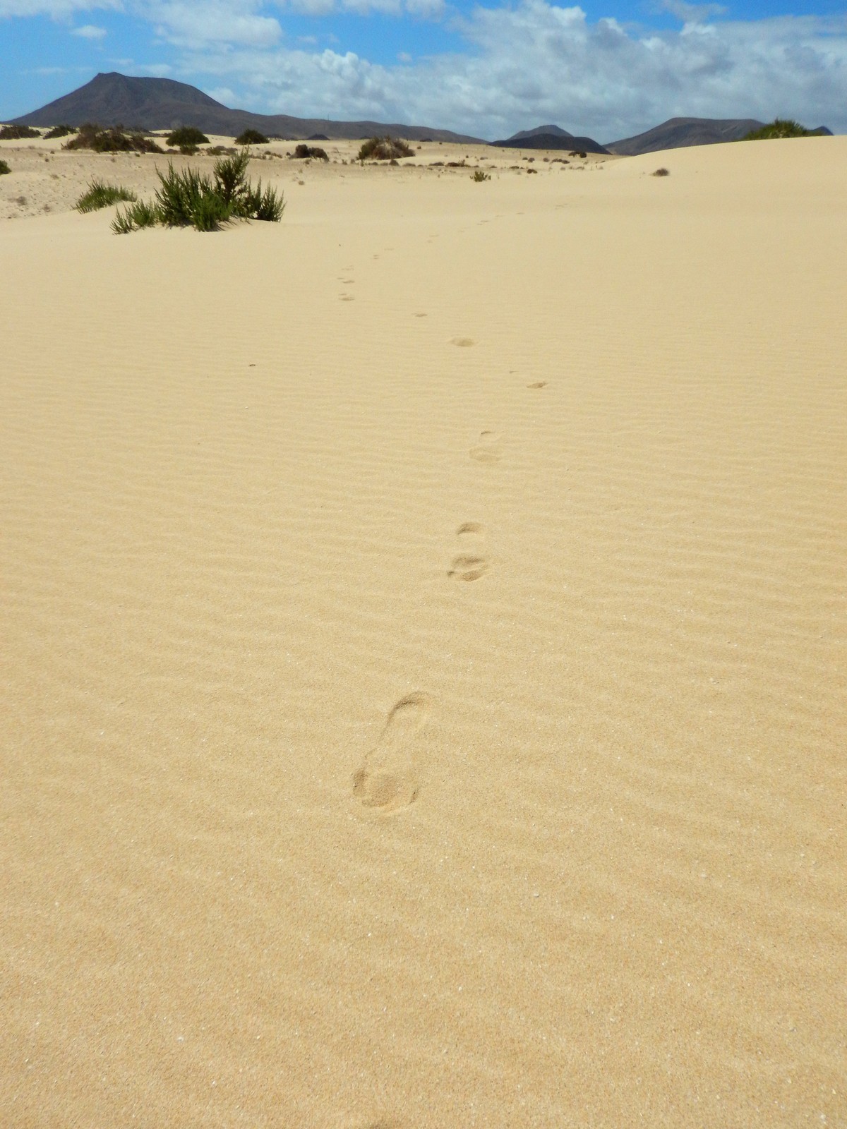 20230919 Corralejo (187)