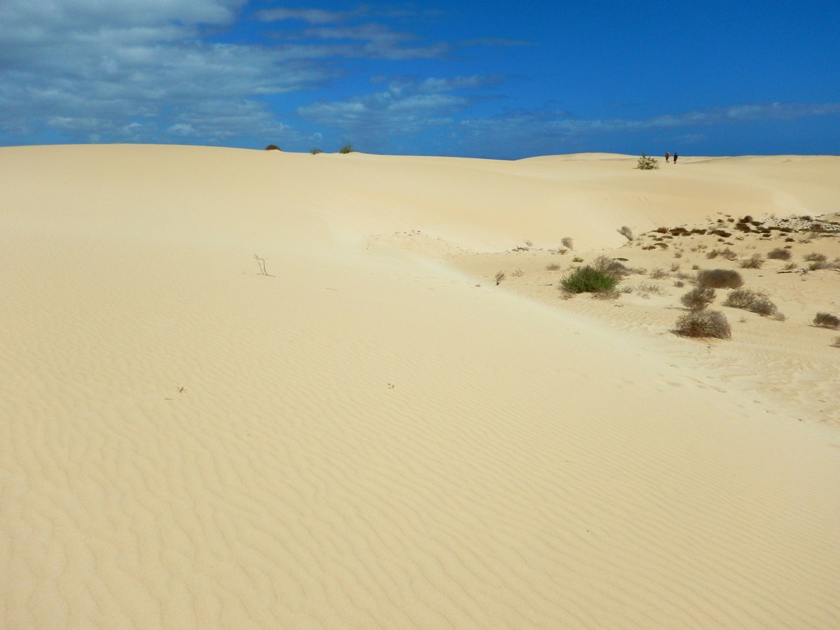 20230919 Corralejo (189)