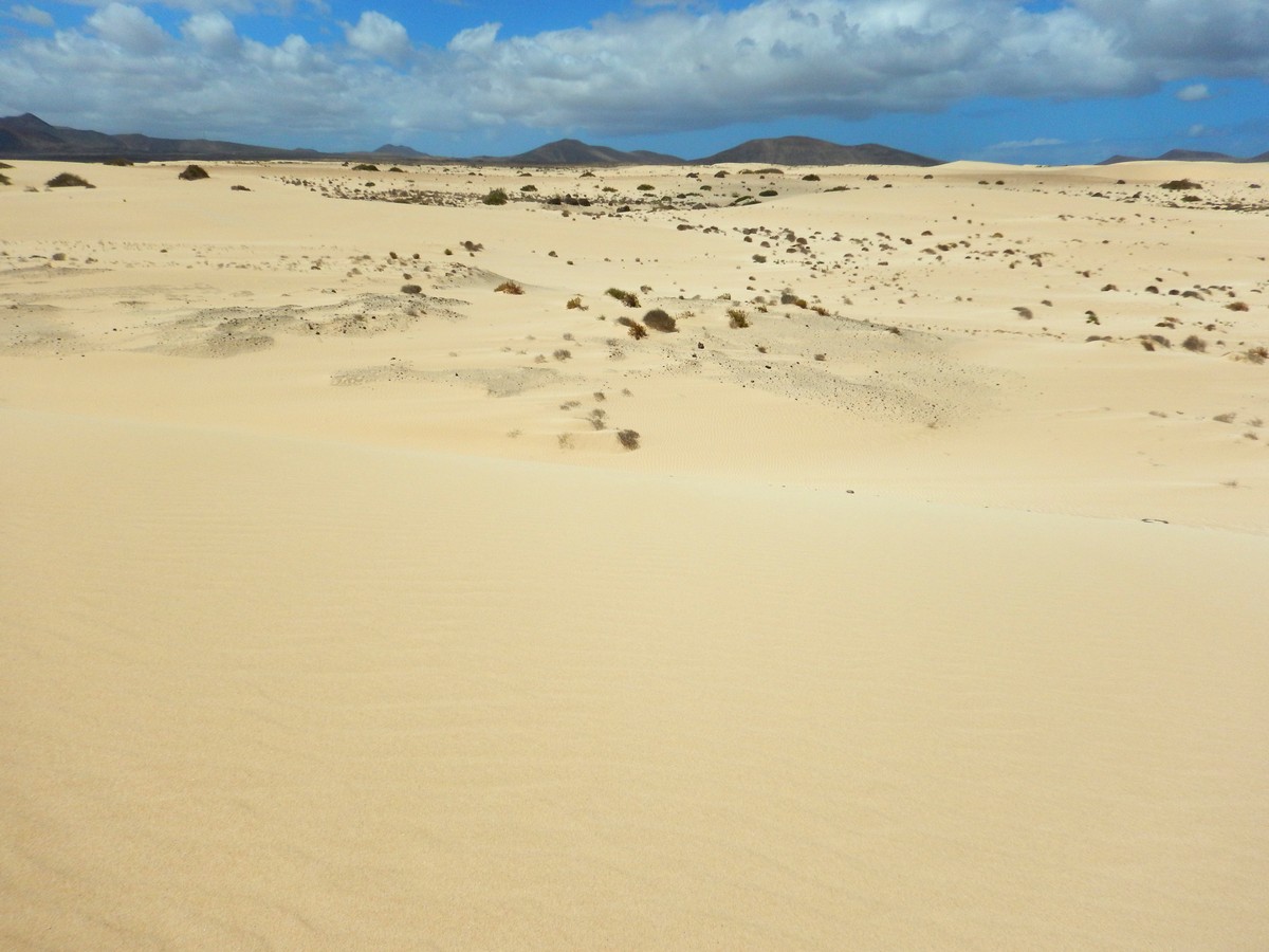 20230919 Corralejo (197)