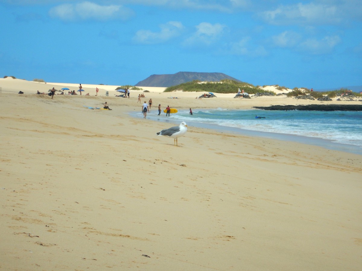 20230919 Corralejo (200)