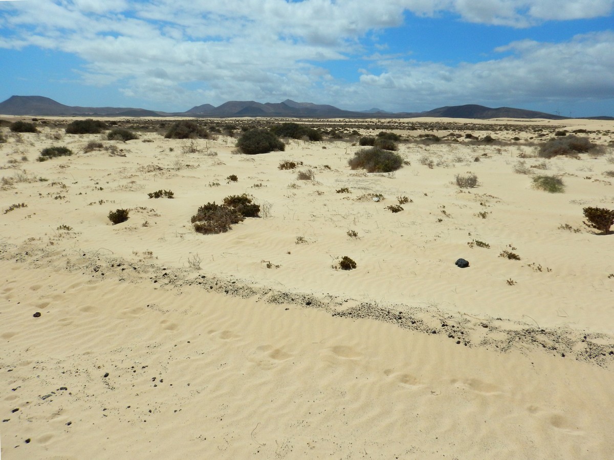 20230919 Corralejo (201)