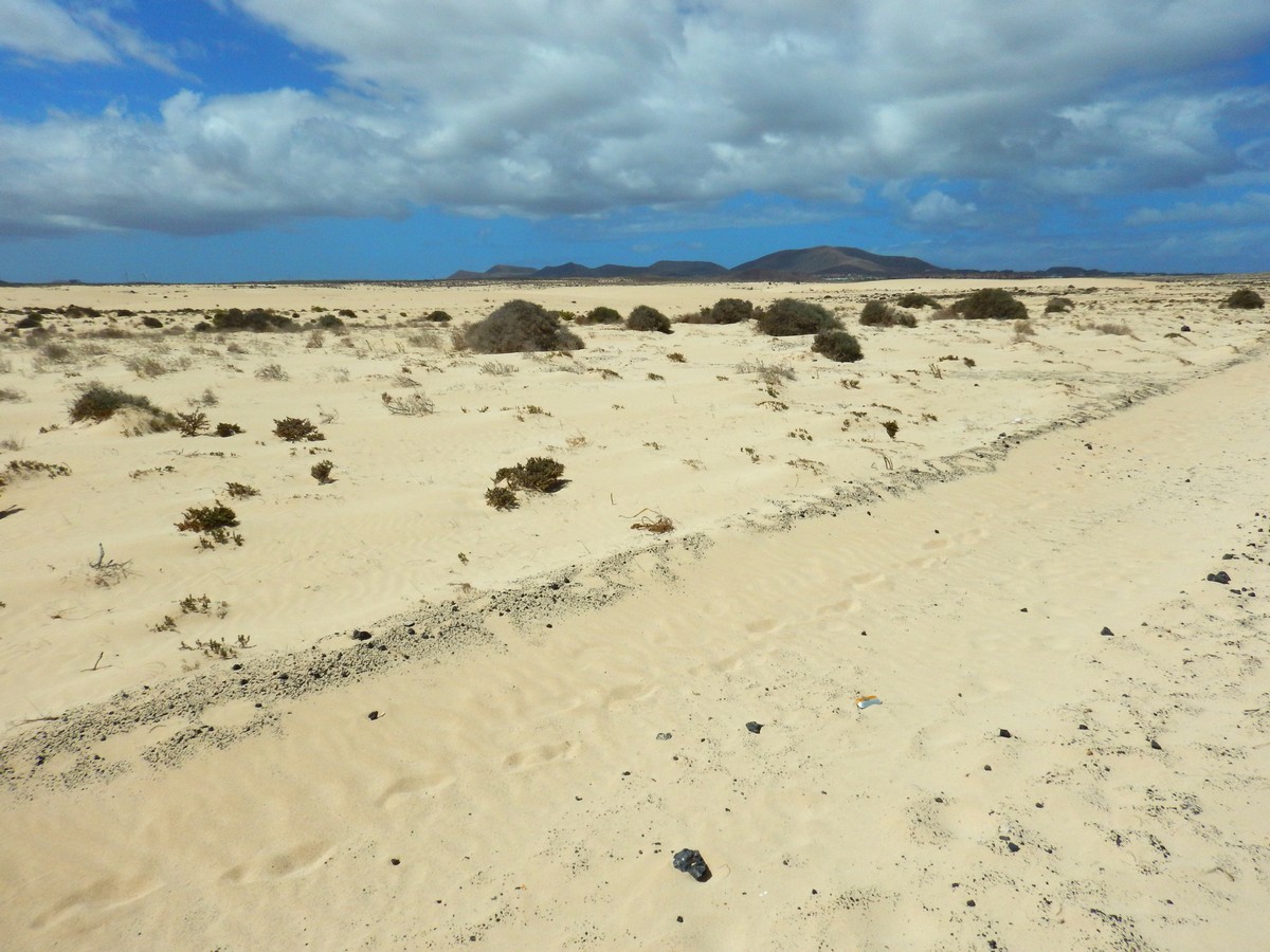 20230919 Corralejo (202)