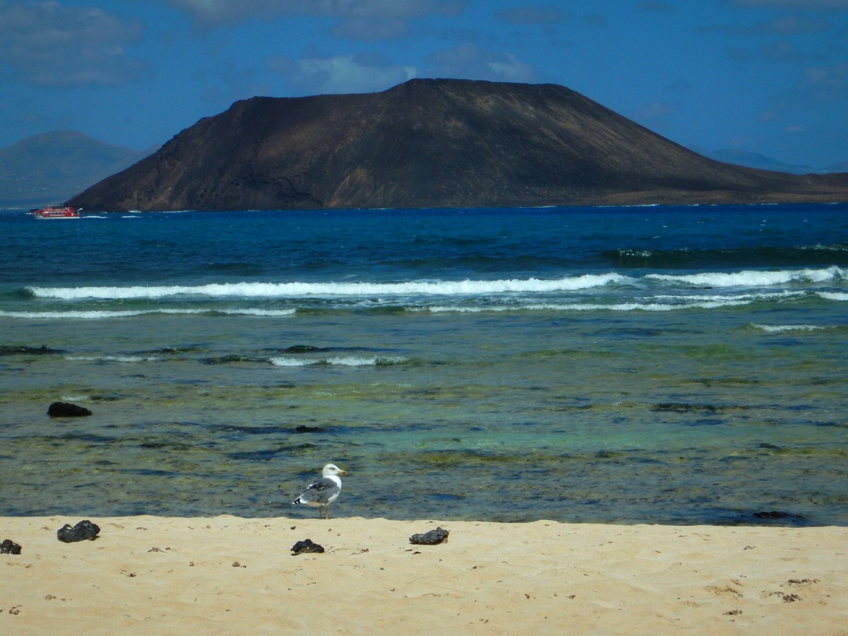 20230919 Corralejo (208)