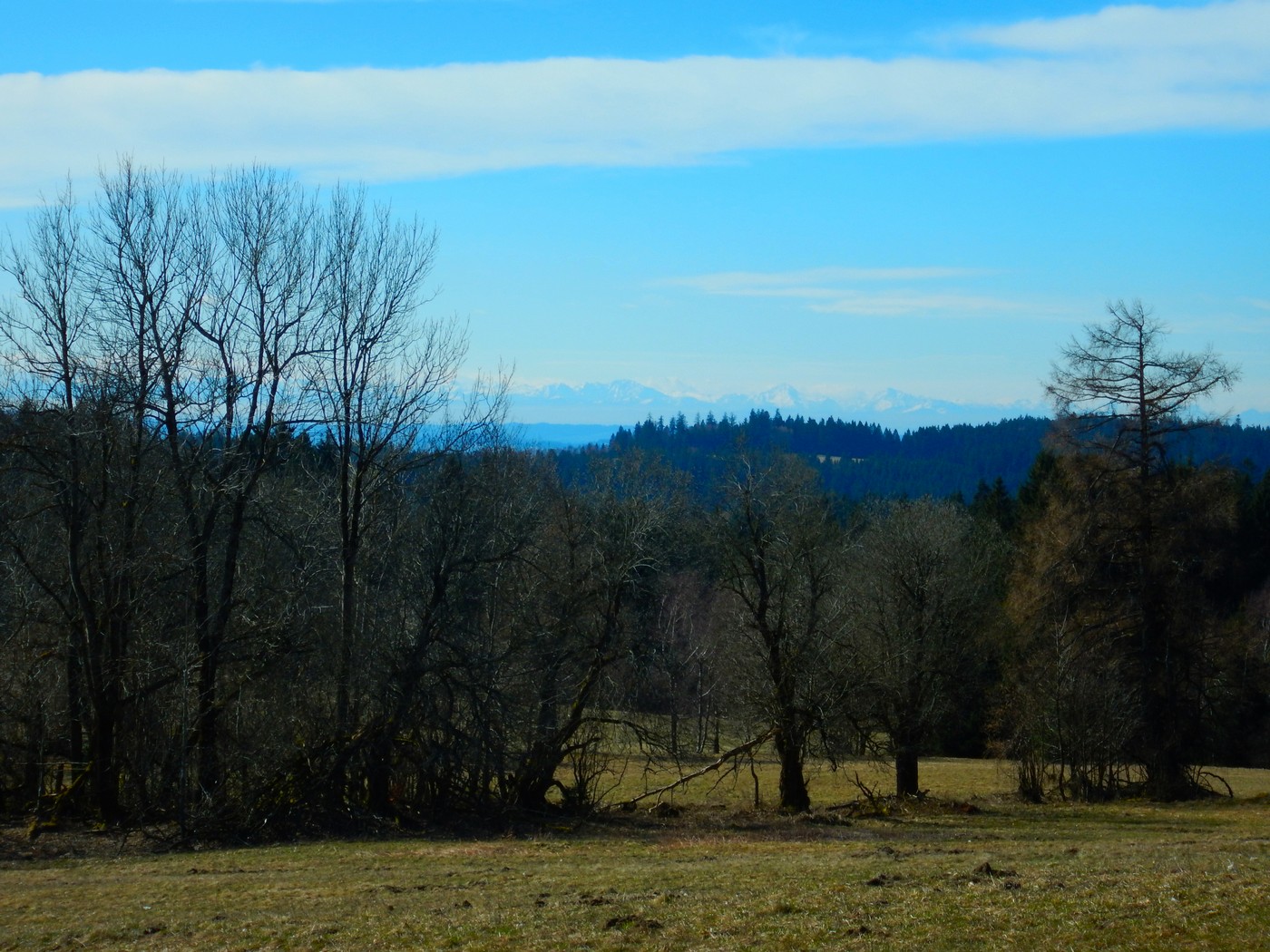 20240309 Pasecna (21)