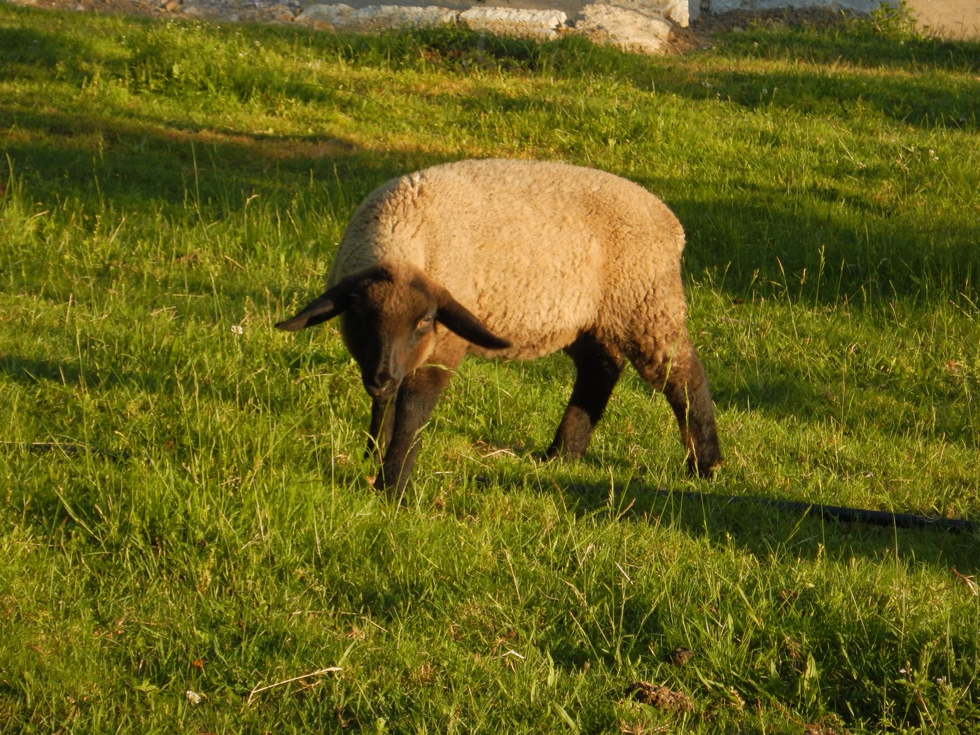 20240607 Noc kostelu (31)