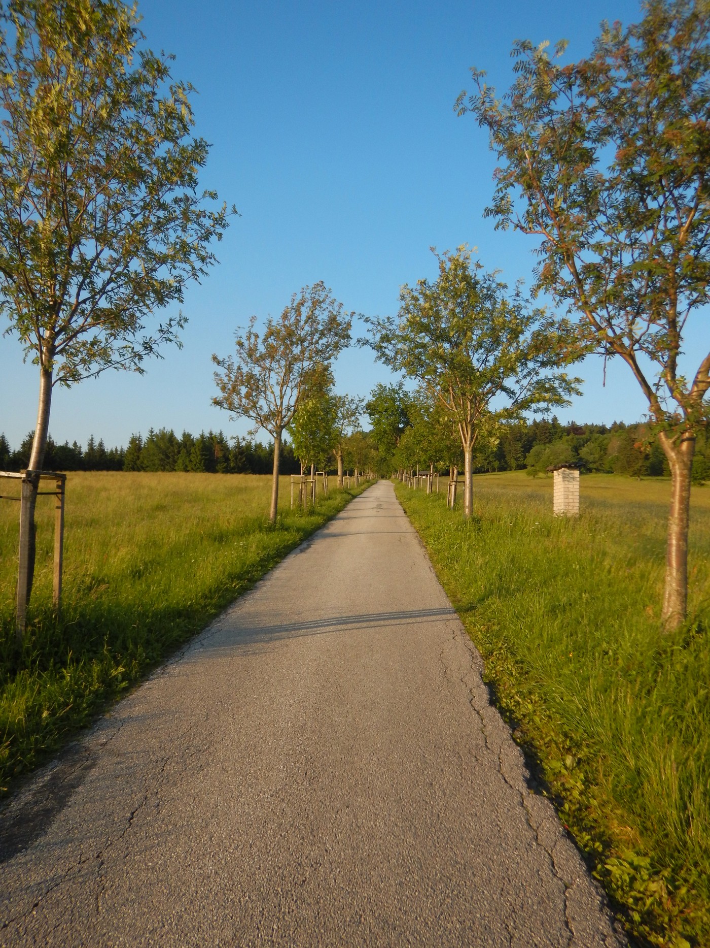20240607 Stepanka (11)