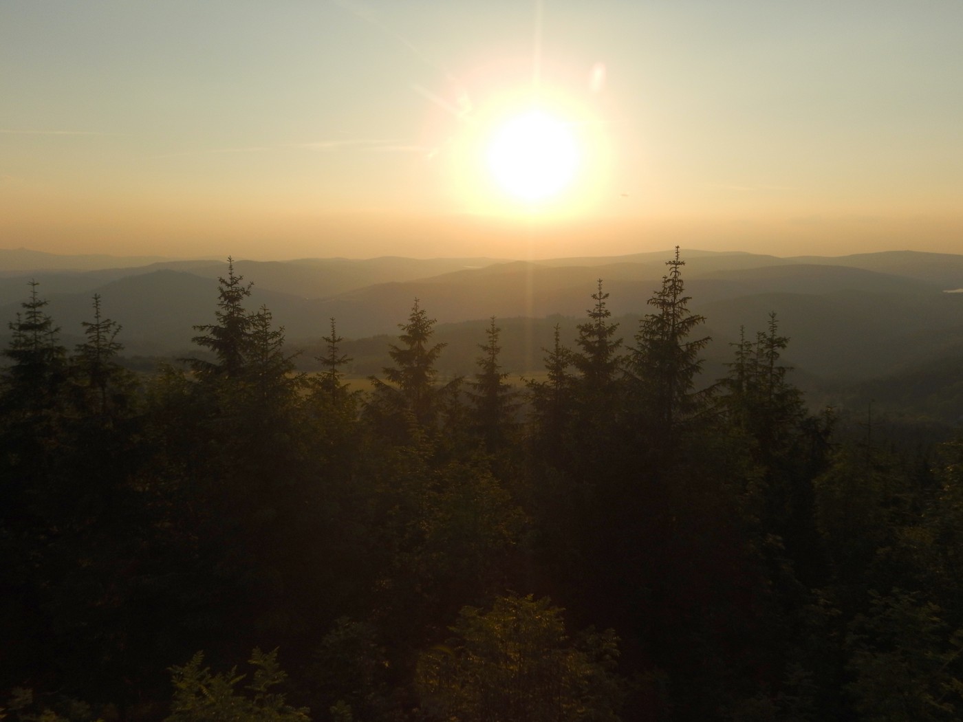 20240607 Stepanka (23)