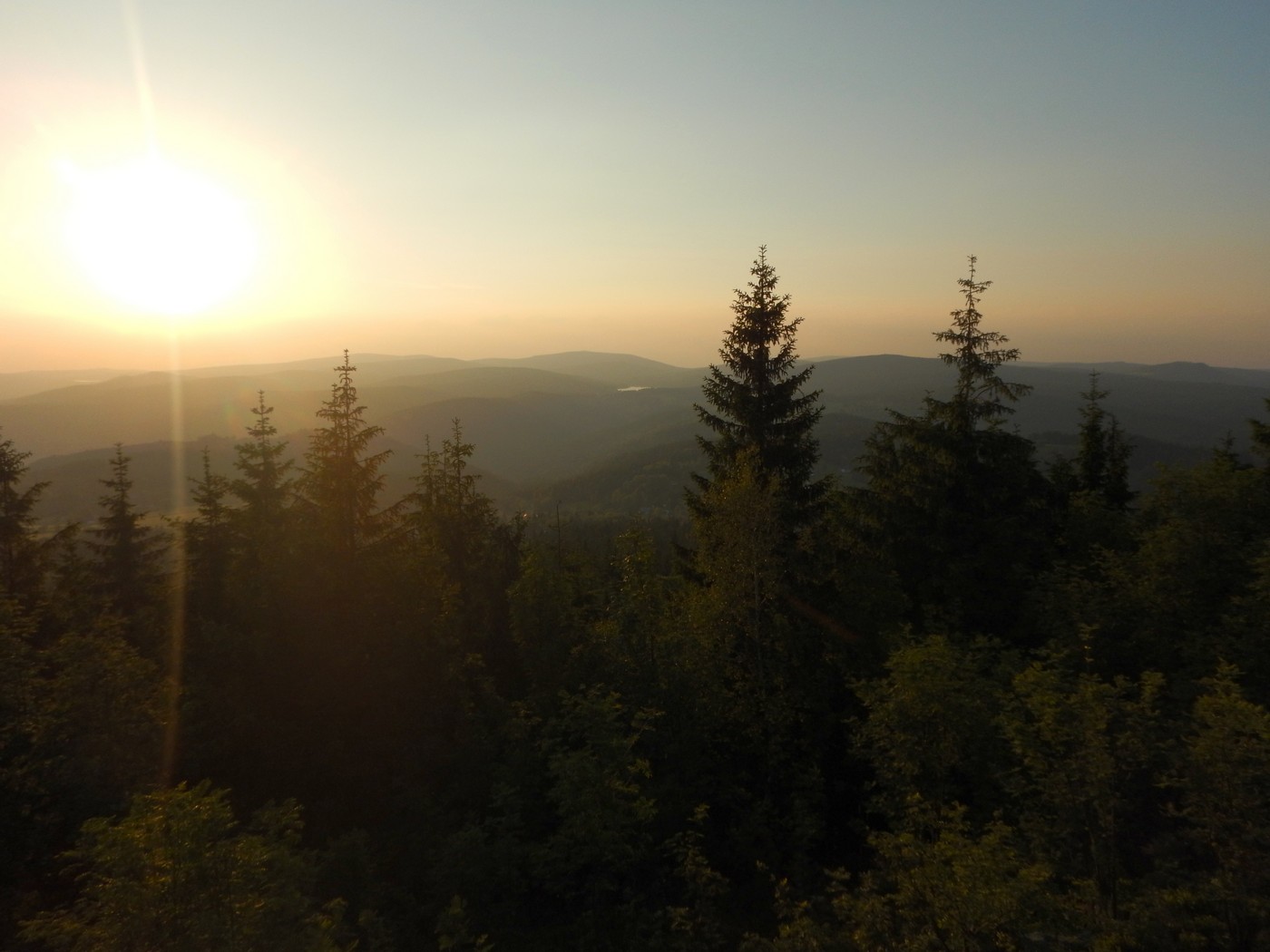 20240607 Stepanka (24)