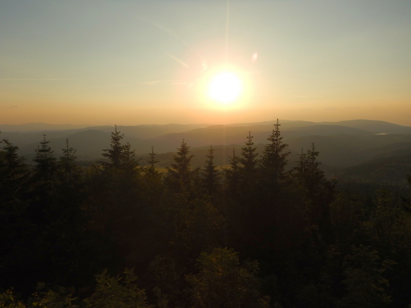20240607 Stepanka (26)